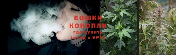 ПСИЛОЦИБИНОВЫЕ ГРИБЫ Белоозёрский