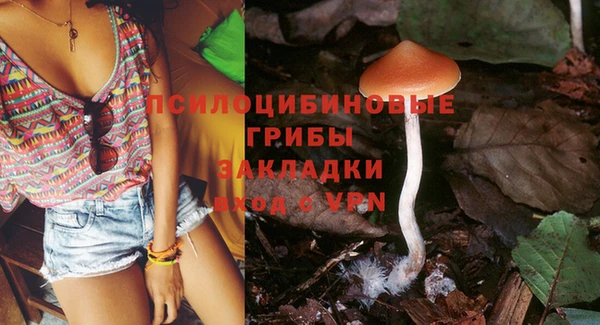 ПСИЛОЦИБИНОВЫЕ ГРИБЫ Белоозёрский