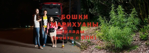 ПСИЛОЦИБИНОВЫЕ ГРИБЫ Белоозёрский