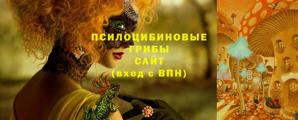 мдпв Няндома