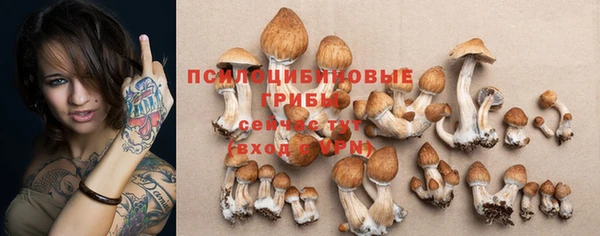 MESCALINE Белокуриха