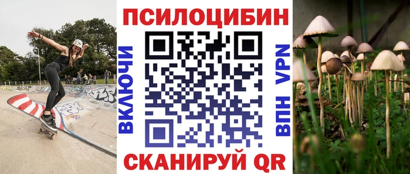 Галлюциногенные грибы мицелий  Плёс 